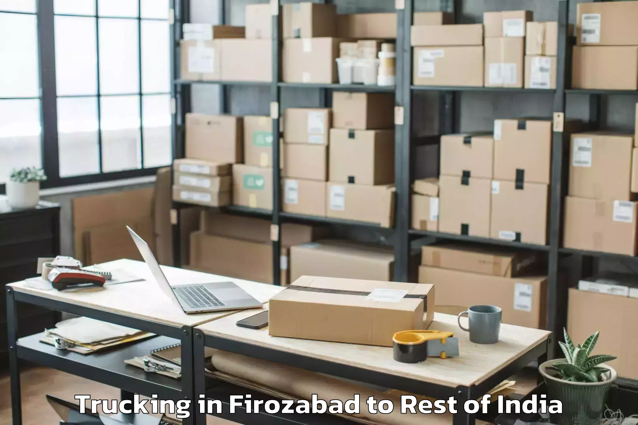 Book Firozabad to Burgampadu Trucking Online